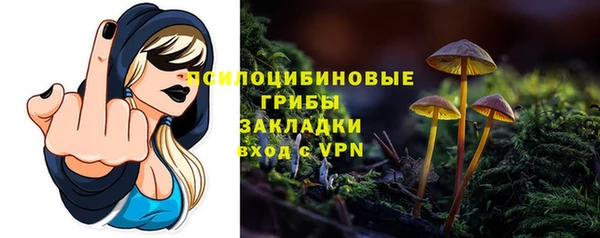 ешки Нефтекумск