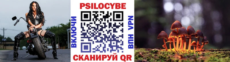 Псилоцибиновые грибы прущие грибы  Купить где  Шадринск 